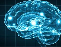 cum functioneaza neurofeedback